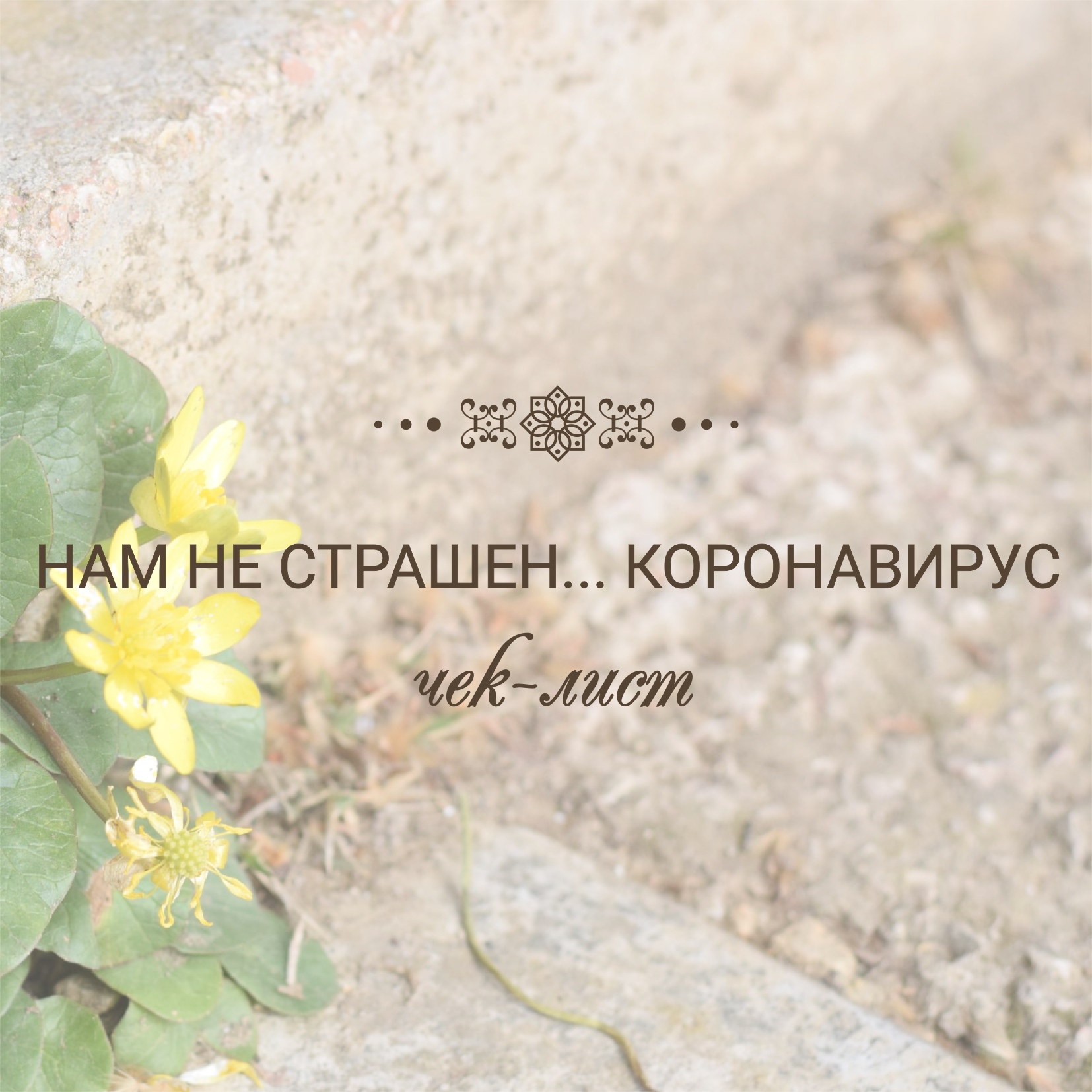 Нам не страшен… коронавирус