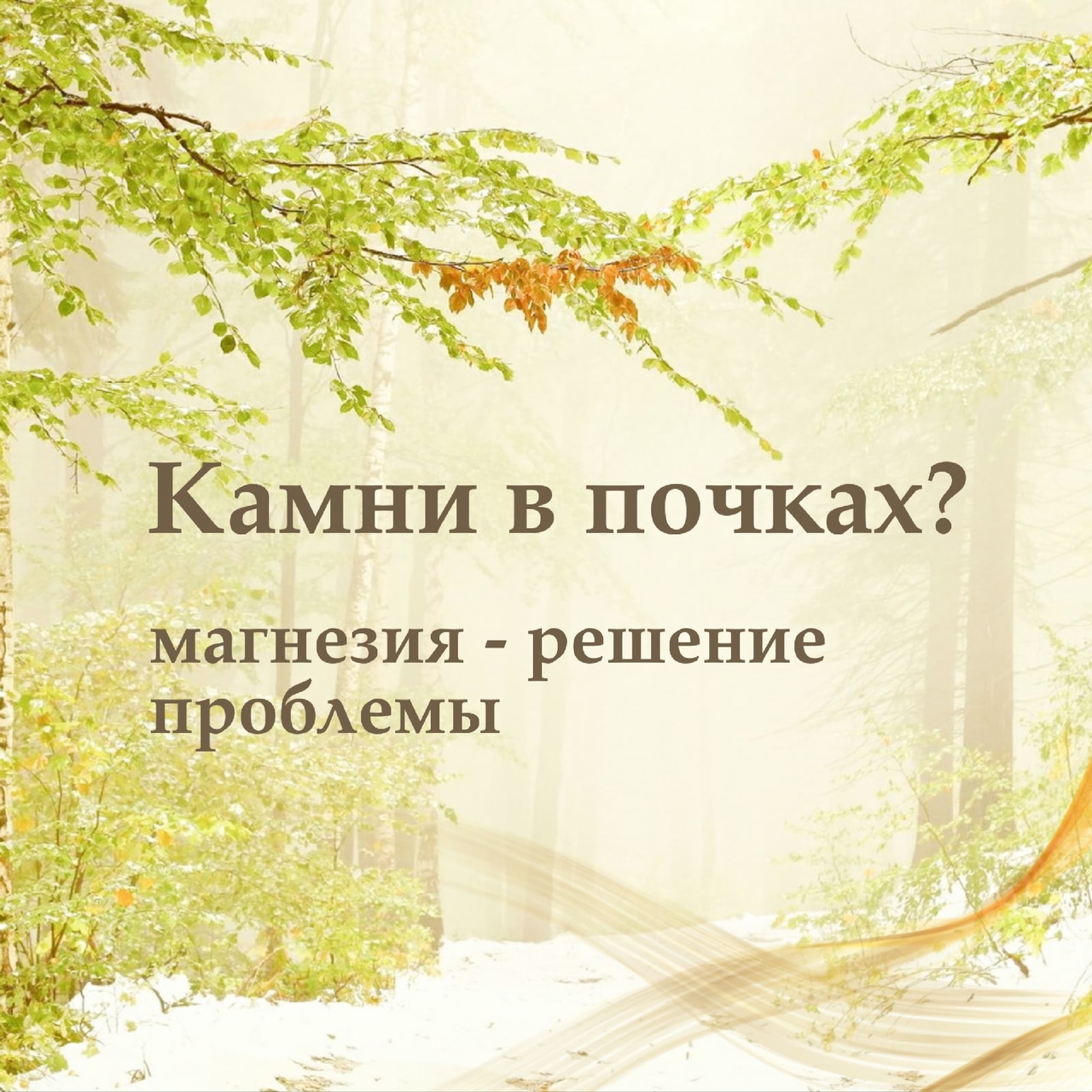 КАМНИ В ПОЧКАХ? МАГНИЙ — РЕШАЕТ ПРОБЛЕМУ!