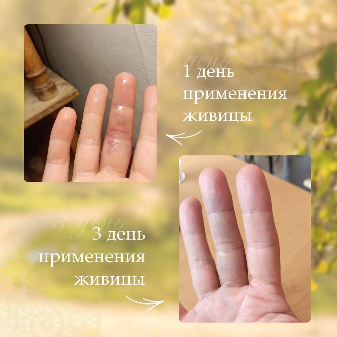 Объявляю КОНКУРС С ГАРАНТИРОВАННЫМИ ПРИЗАМИ!
