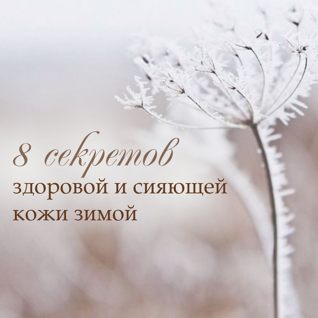 8 СЕКРЕТОВ ЗДОРОВОЙ И СИЯЮЩЕЙ КОЖИ ЗИМОЙ