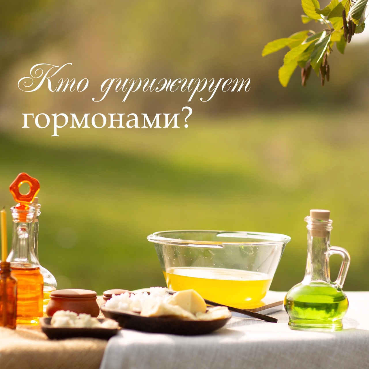 Запись без названия 11256