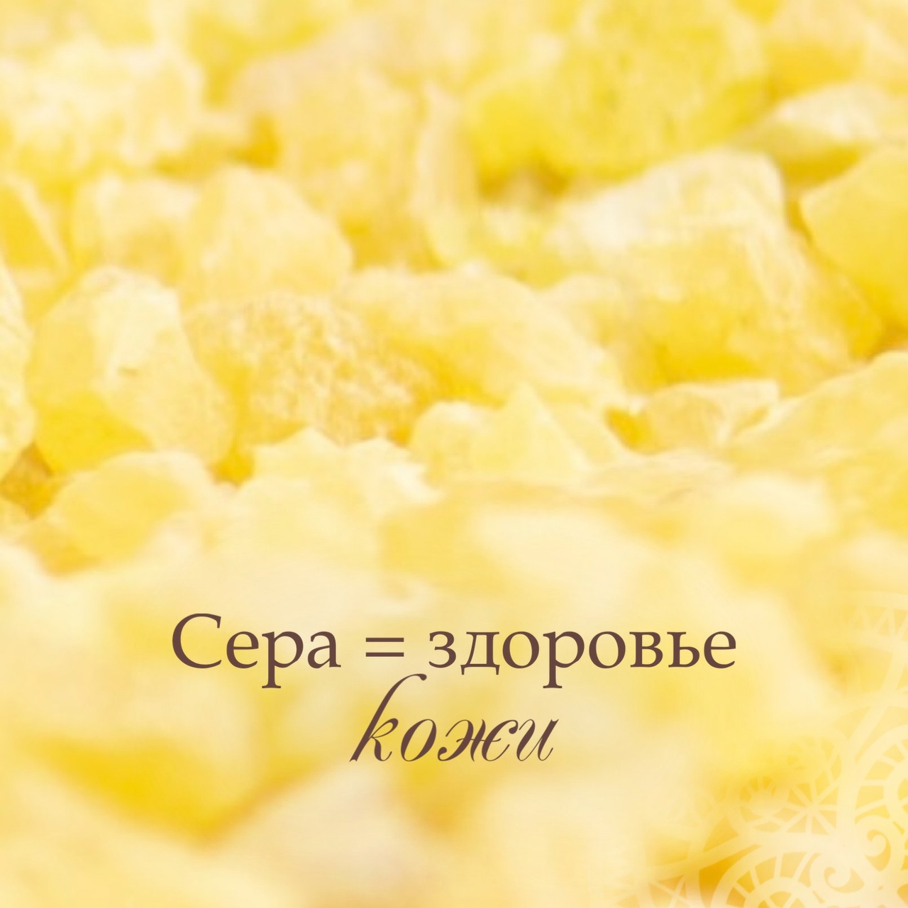 КАК КУПИТЬ?! ВАЖНО, СРОЧНО, МНЕ ВАС РЕКОМЕНДОВАЛИ!!!