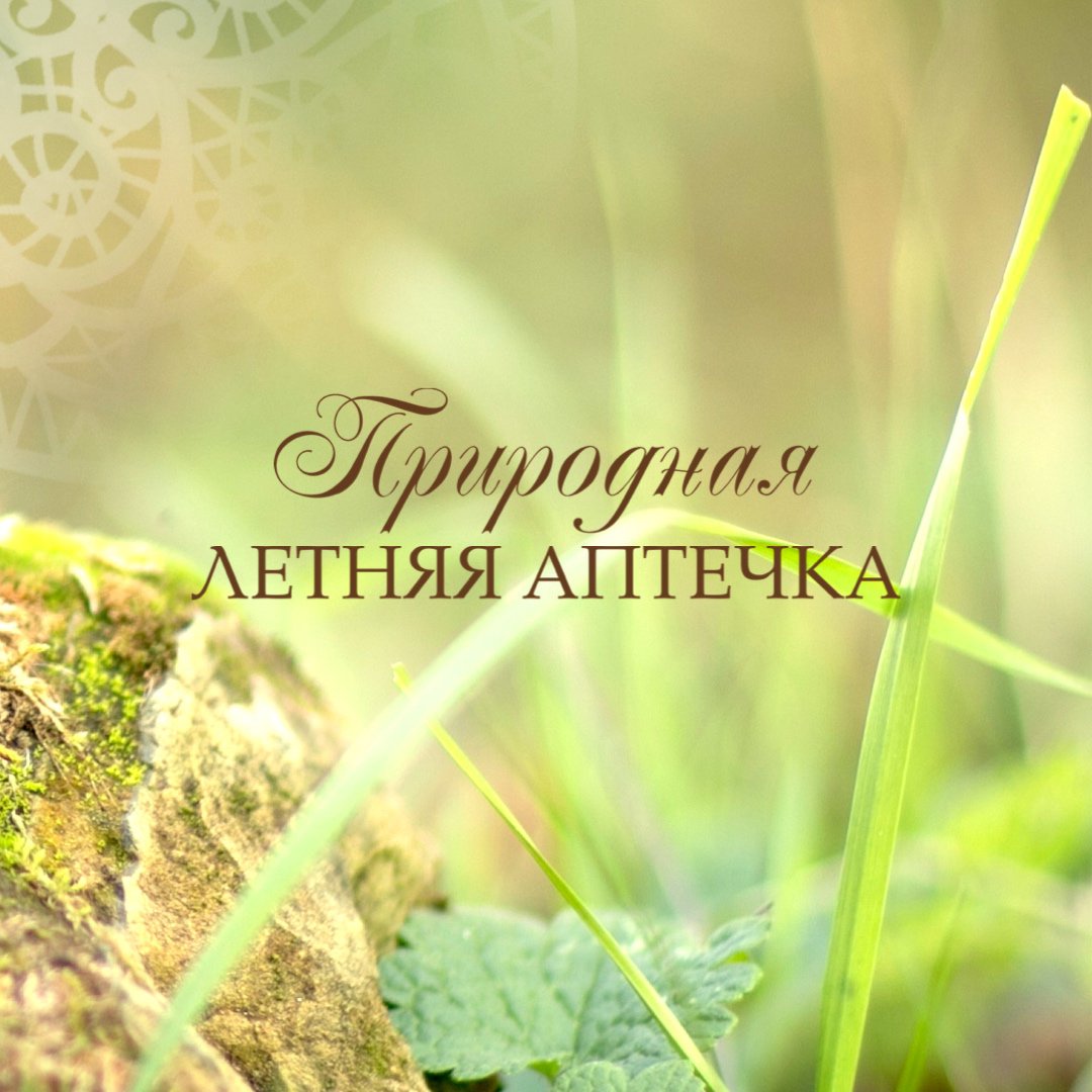 С СОДРОГАНИЕМ ВСПОМИНАЮ ЛЕТО…