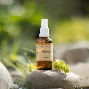 [product-name]