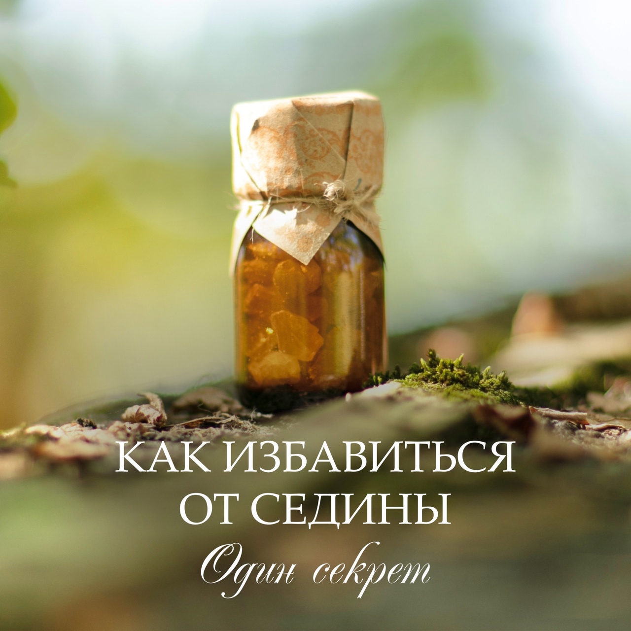 КАКОЙ КОШМАР, У МЕНЯ СЕДОЙ ВОЛОС…