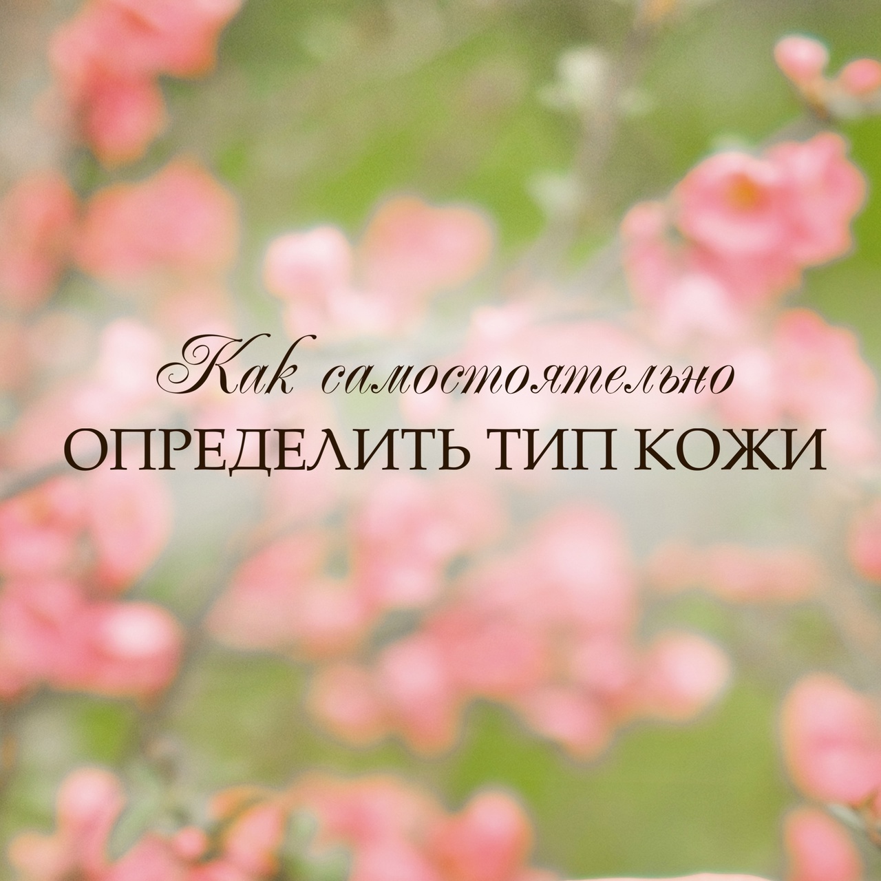 ПОДБИРАЕМ ПРАВИЛЬНЫЙ УХОД