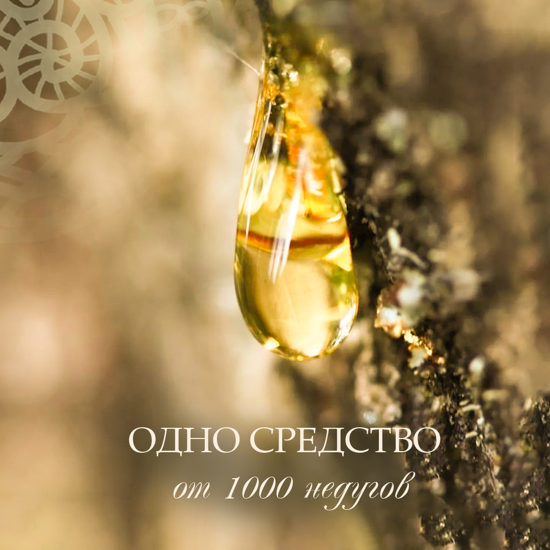 ЧТО ДЕЛАЕТ ЖИВИЦУ ЭЛИКСИРОМ ЗДОРОВЬЯ?